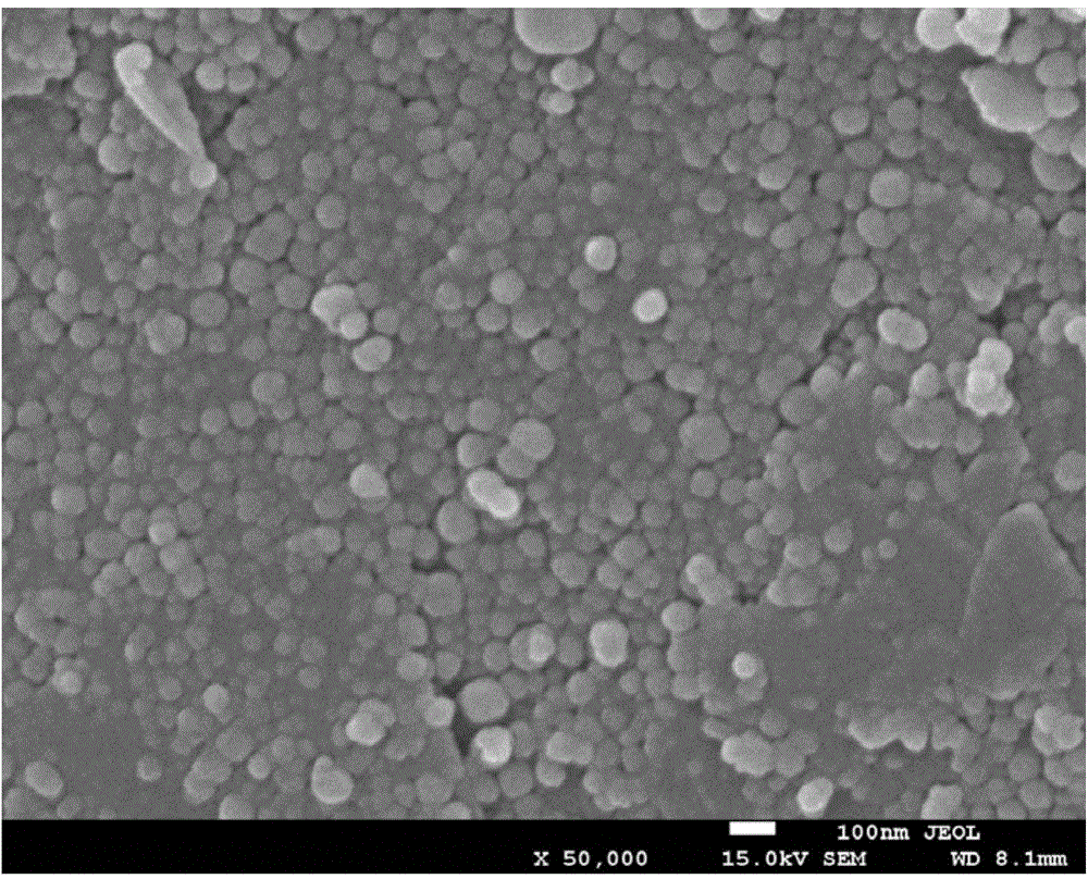 Lithium ion battery negative electrode active material and preparation thereof, lithium ion battery negative electrode material, lithium ion battery negative electrode and lithium ion battery