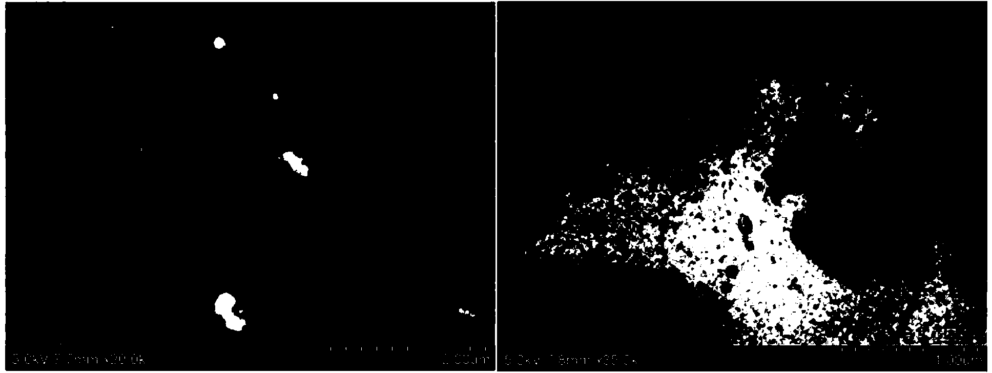 Water-sensitive fluorescence enhanced test paper as well as preparation method and application thereof