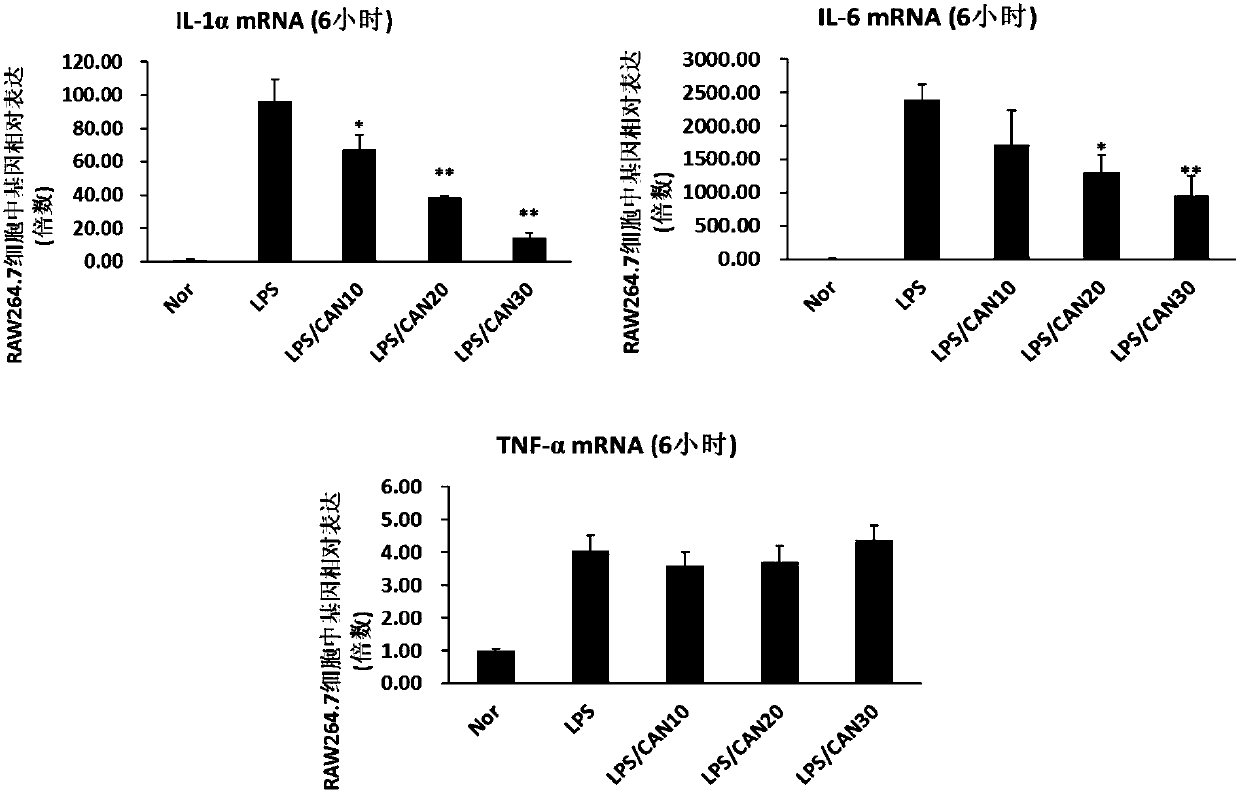 Application of SGLT2 inhibitor in regulation of inflammation