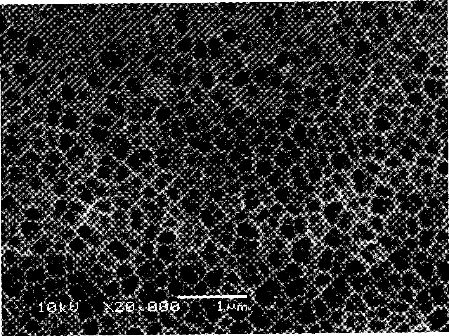 Method for preparing bismuth nano wire array thermoelectric materials