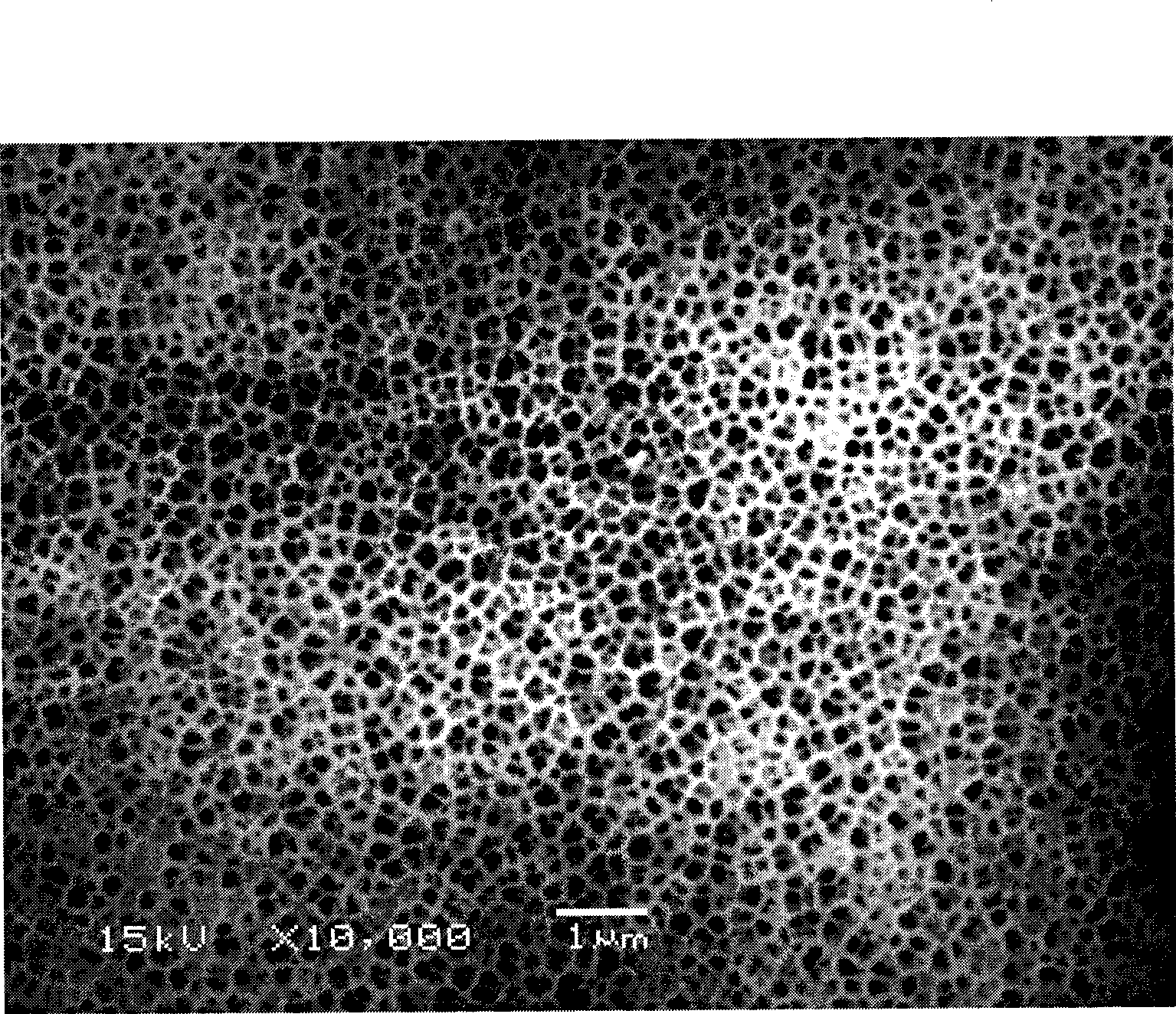 Method for preparing bismuth nano wire array thermoelectric materials