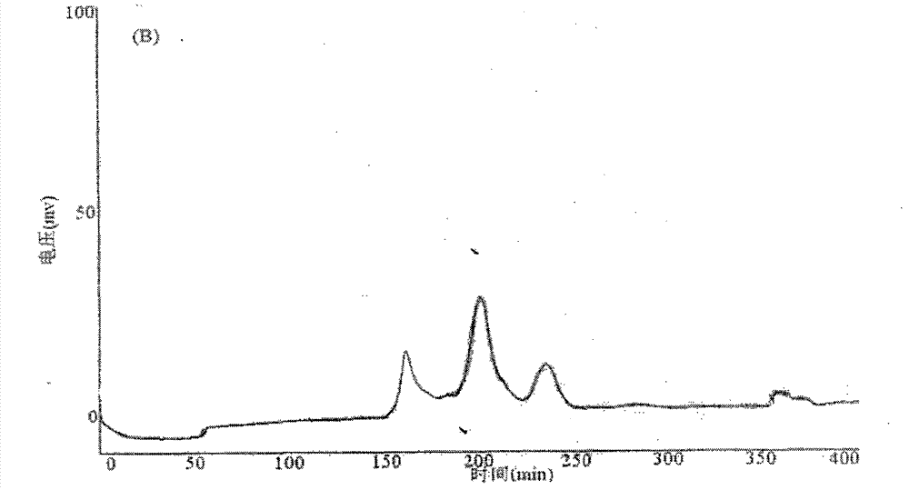 Method for separating petunidin in lycium ruthenicum murray through high-speed counter-current chromatography