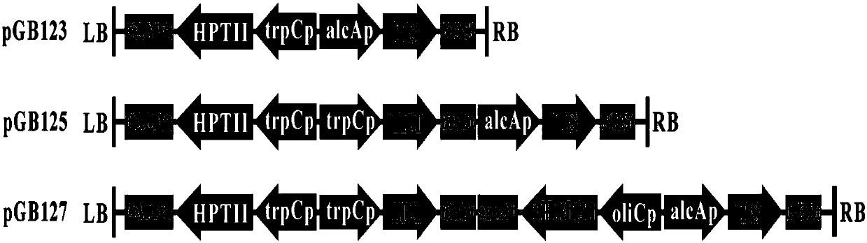 Taxadiene overexpression vector and application thereof