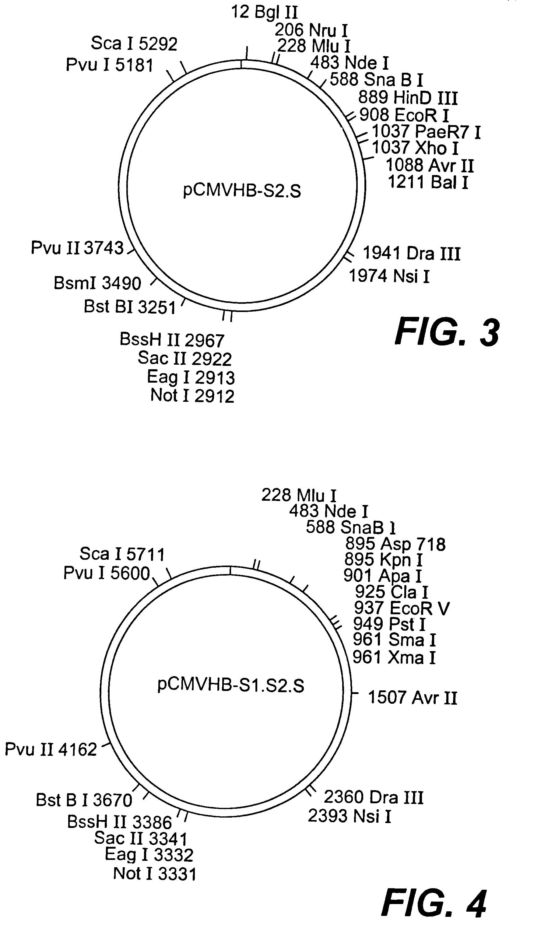 Nucleotide vector, composition containing such vector, and vaccine for immunization against hepatitis