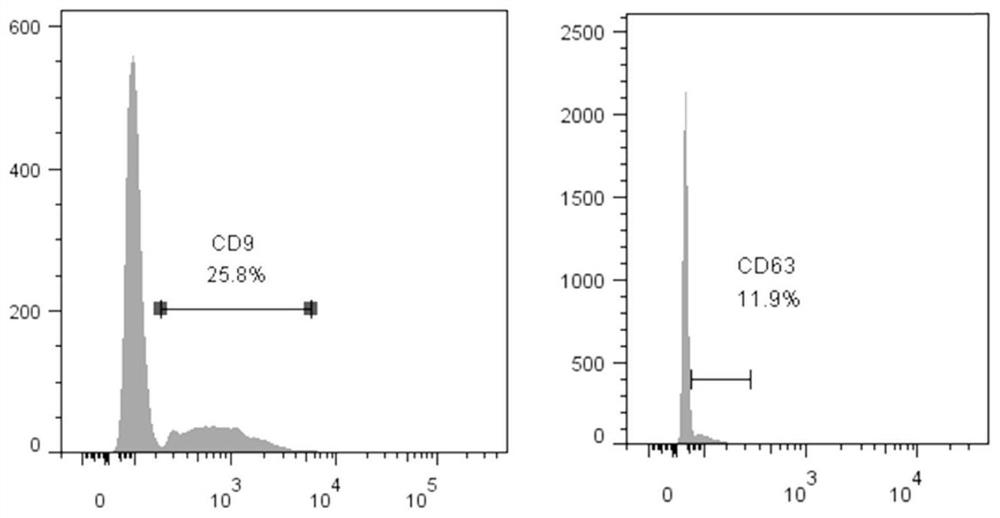 Exosome secretion inducer, exosome secretion inducing culture medium, exosome production method using exosome secretion inducing culture medium and application of exosome