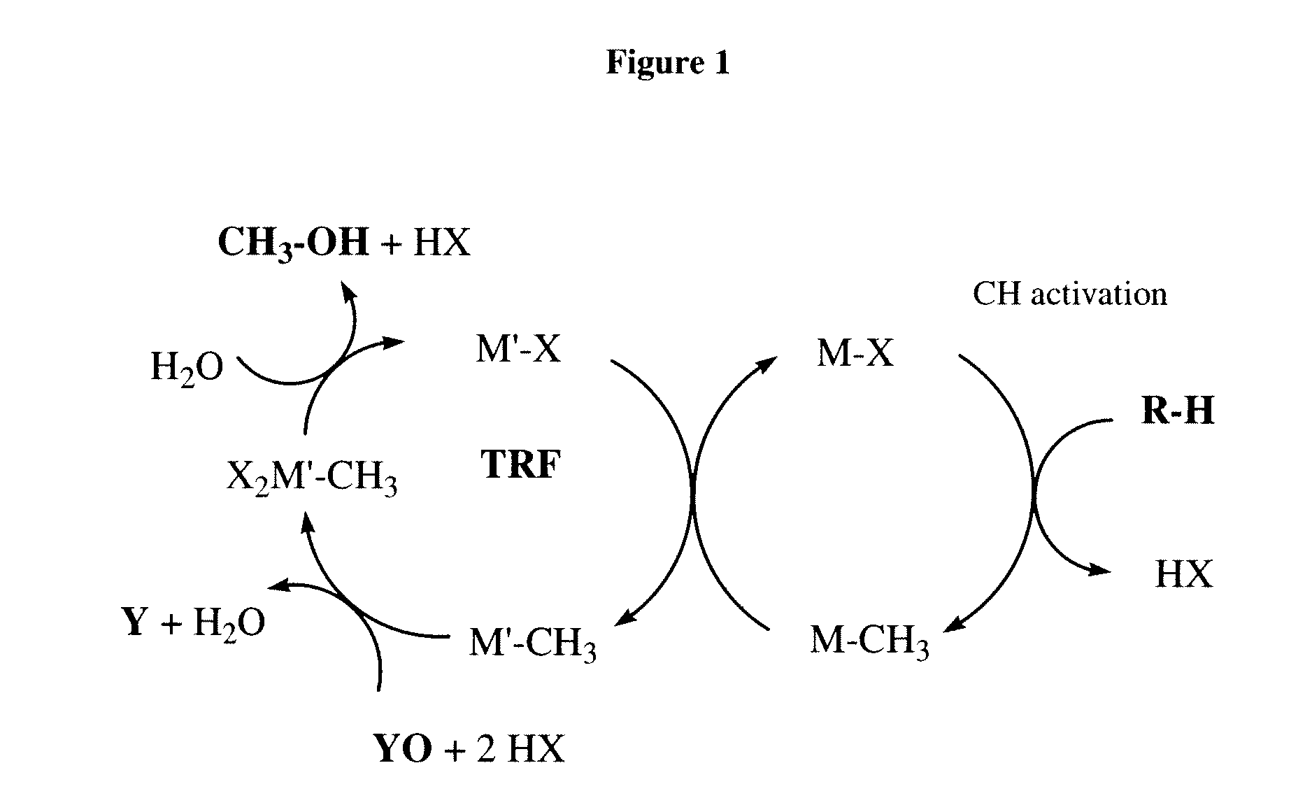 Catalytic oxy-functionalization of metal-carbon bonds