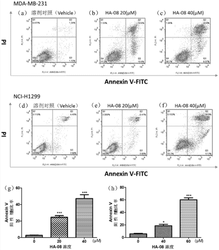 A kind of anti-tumor small molecule compound and its preparation method and application