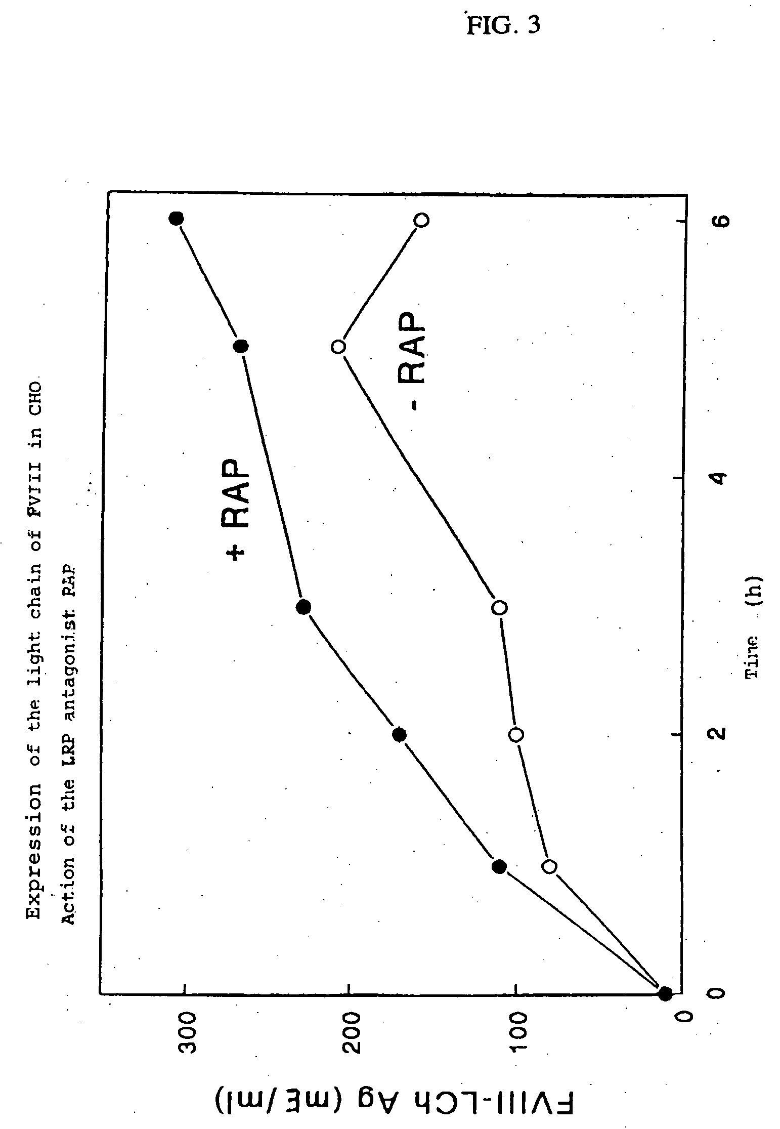 Factor VIII polypeptide having factor VIII:C activity