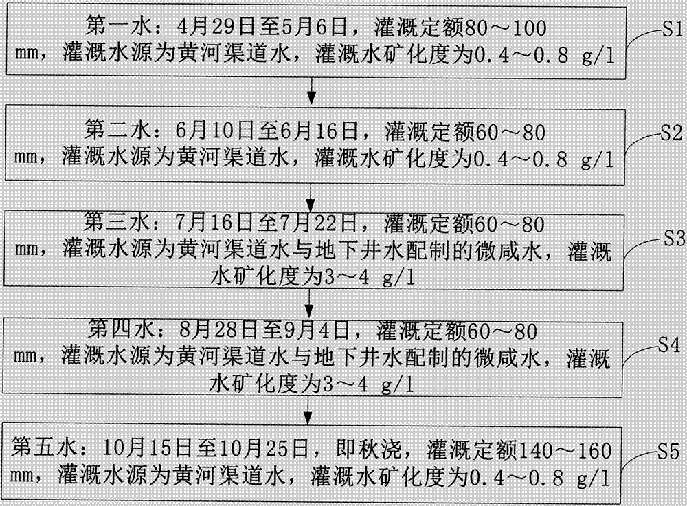 Brackish water irrigation method for lyciumbarbarumin salinized irrigation area