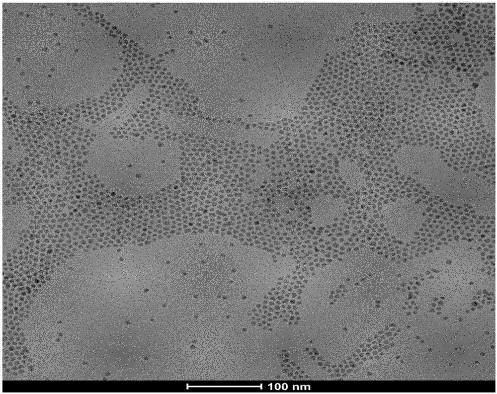 High-temperature-resistance quantum dot fluorescent material and preparation method thereof