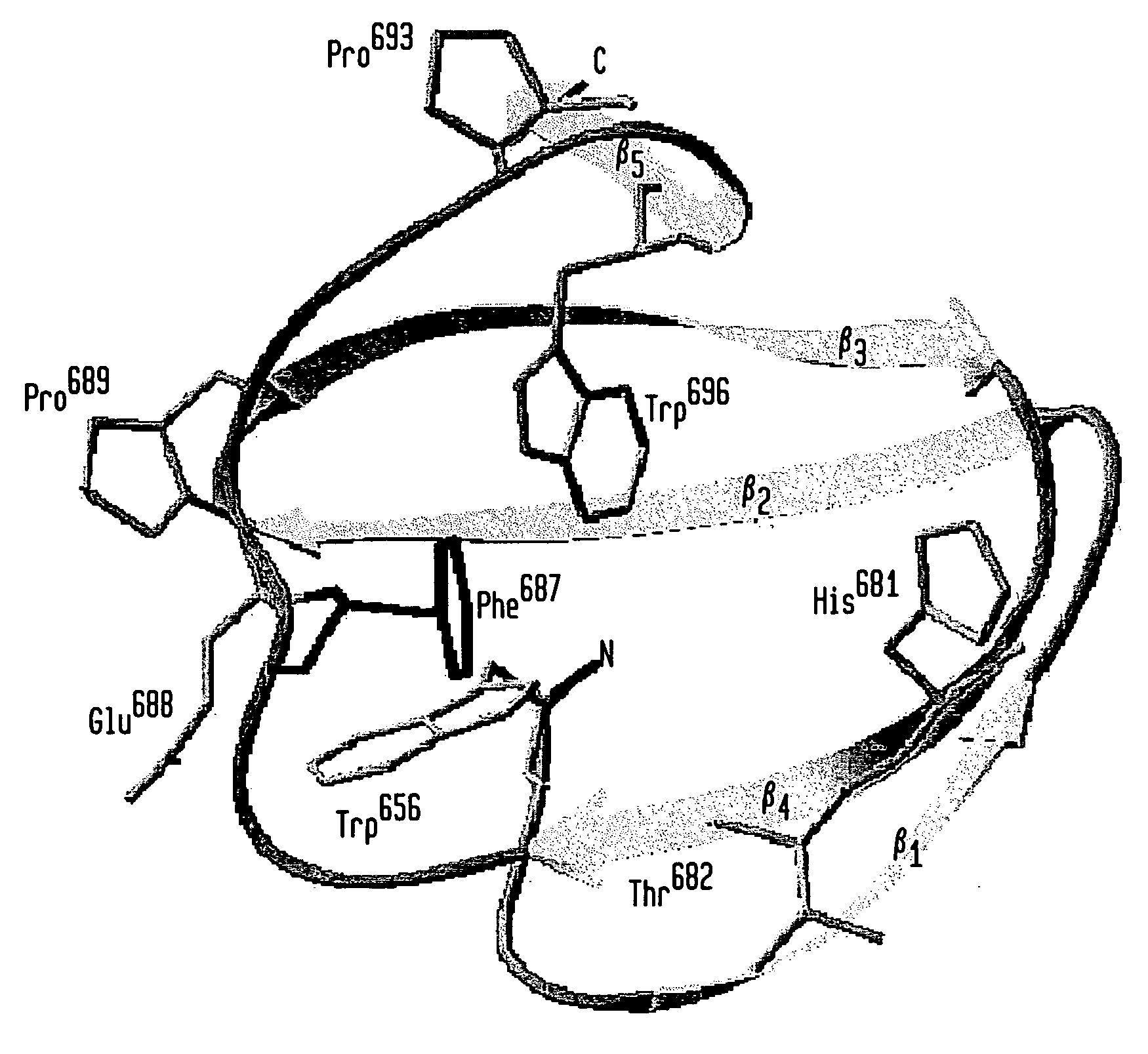 Modified chitin-binding domain and use thereof