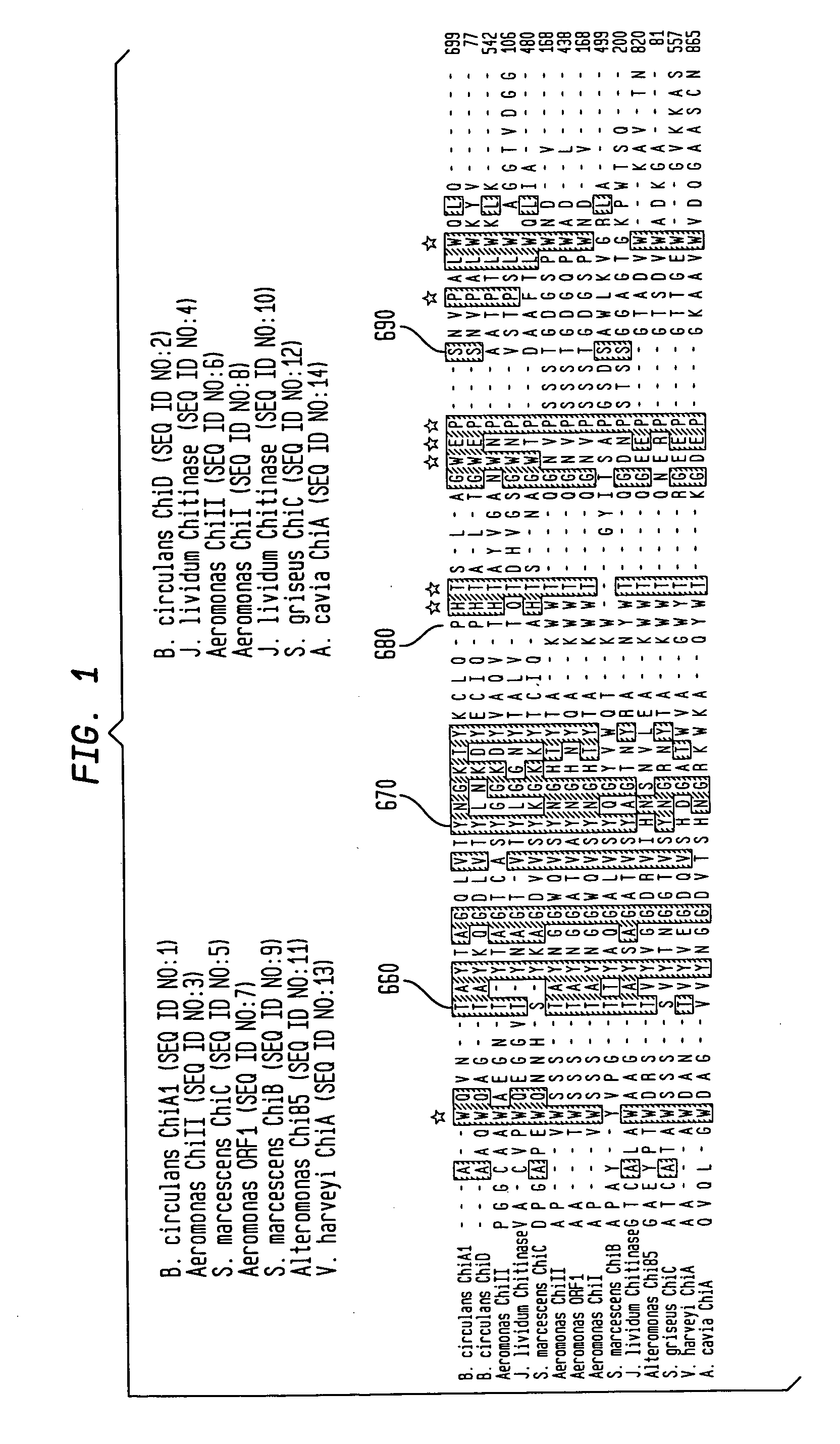 Modified chitin-binding domain and use thereof