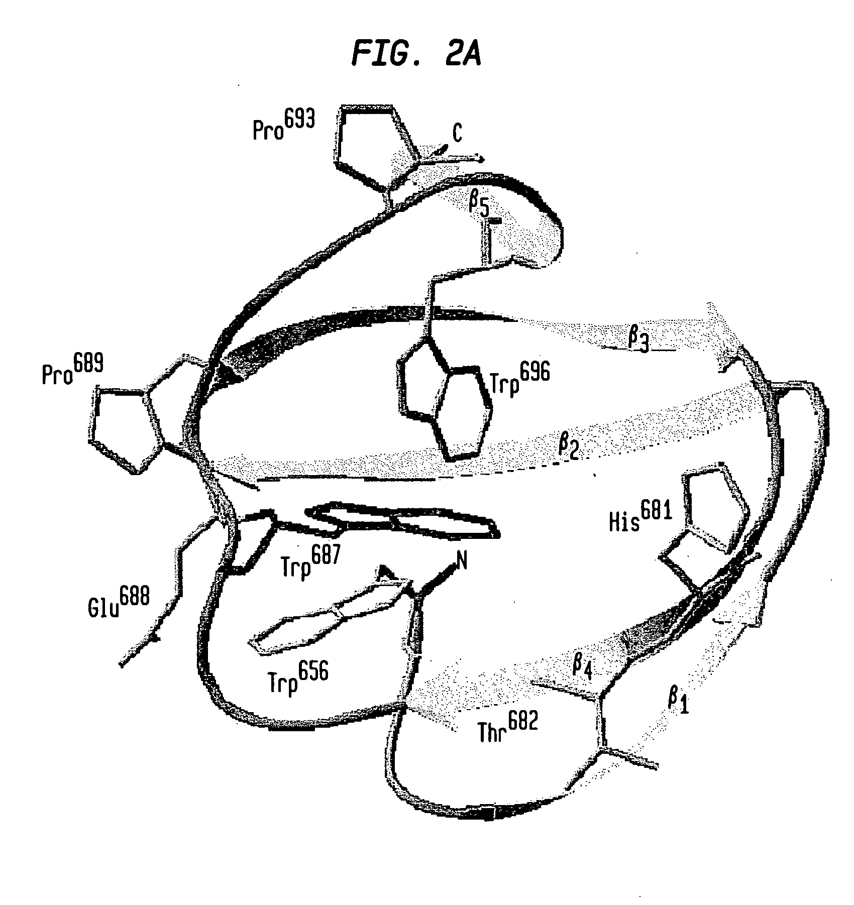 Modified chitin-binding domain and use thereof