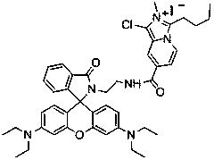 Ratio-type pH fluorescent probe for water-soluble localization of lysosomes, its preparation method, application and test method