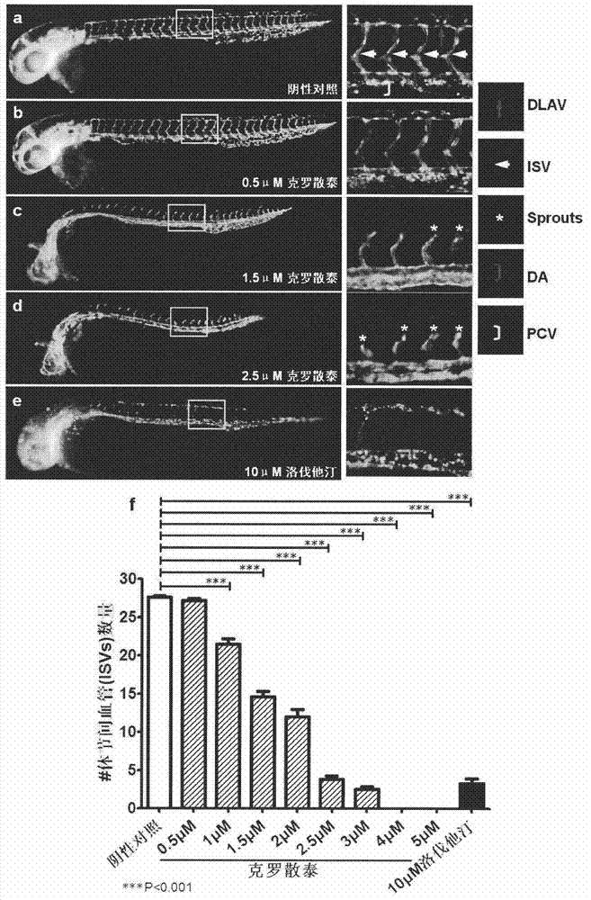 Anti-angiogenic compound and usage thereof