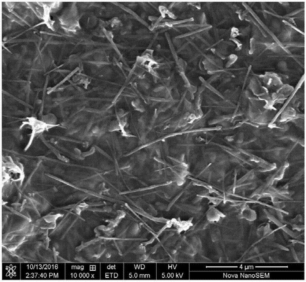 Boron nitride nanotube-nano-cellulose fiber composite material and preparation method thereof