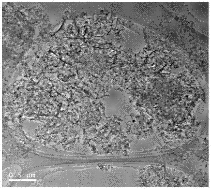 Synthetic method of metal Co-loaded N-doped three-dimensional porous carbon material having excellent electrocatalytic oxygen reduction performance