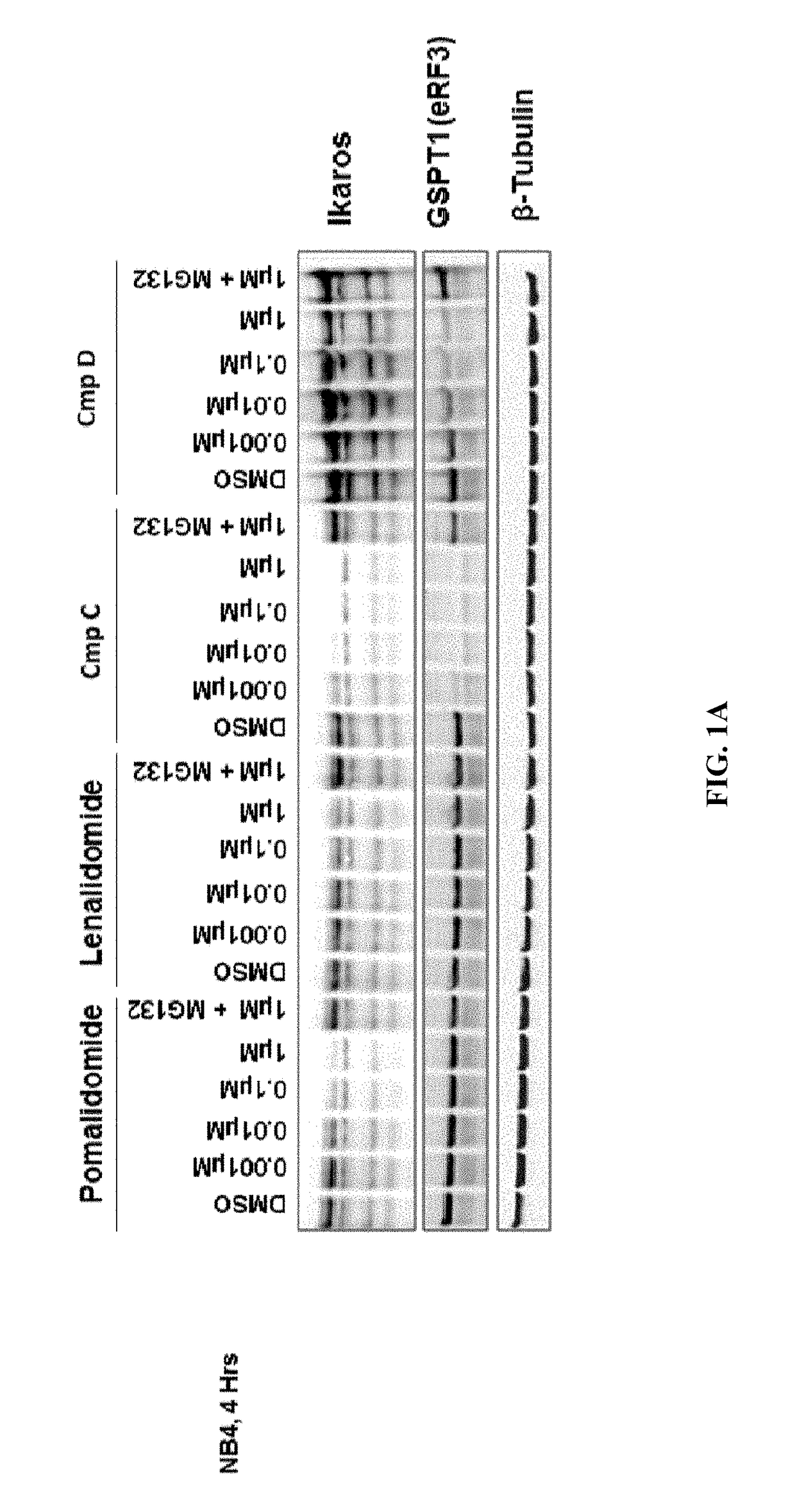 Methods for treating cancer and the use of biomarkers as a predictor of clinical sensitivity to therapies