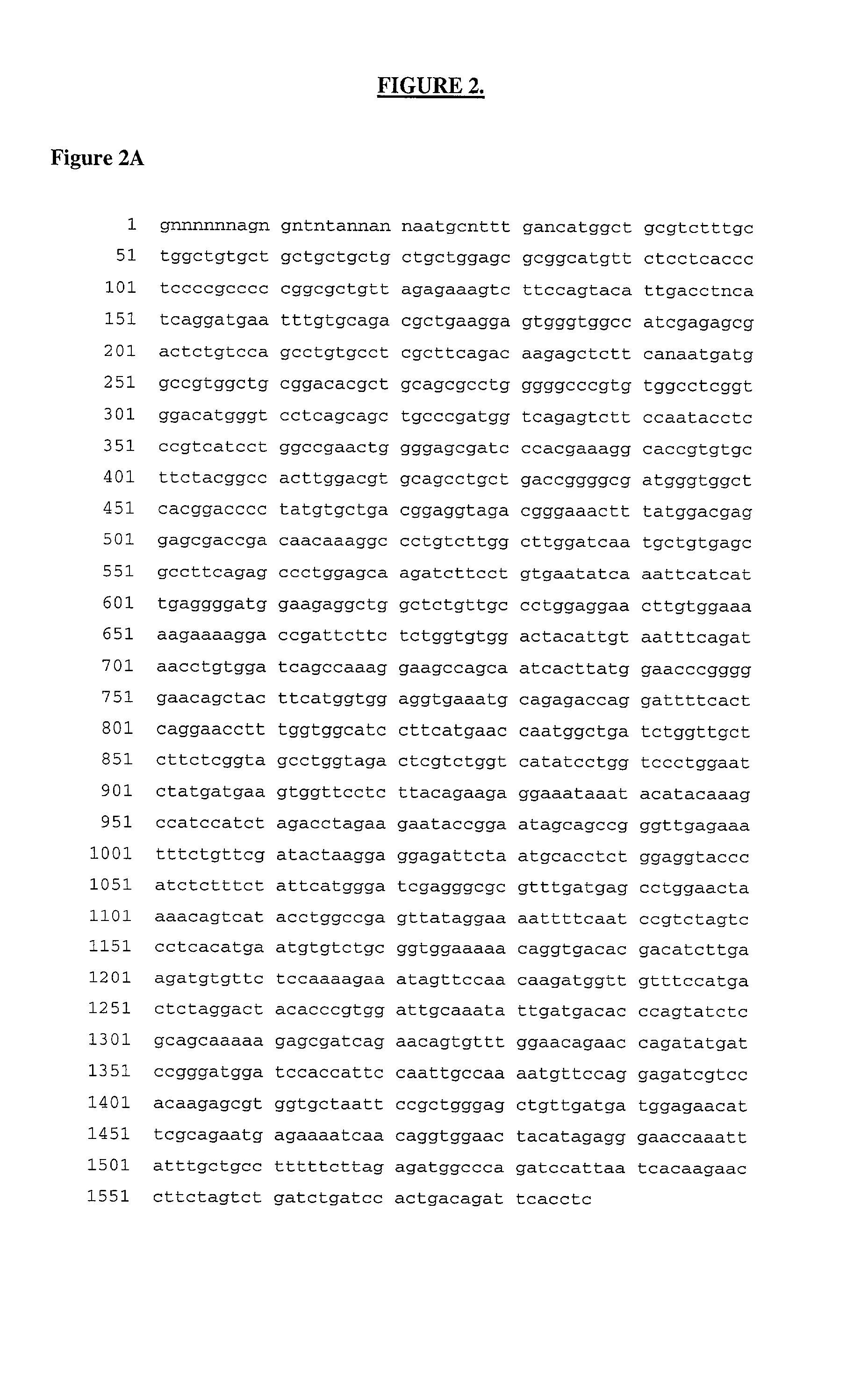 Proteins, genes and their use for diagnosis and treatment of bipolar affective disorder (BAD) and unipolar depression