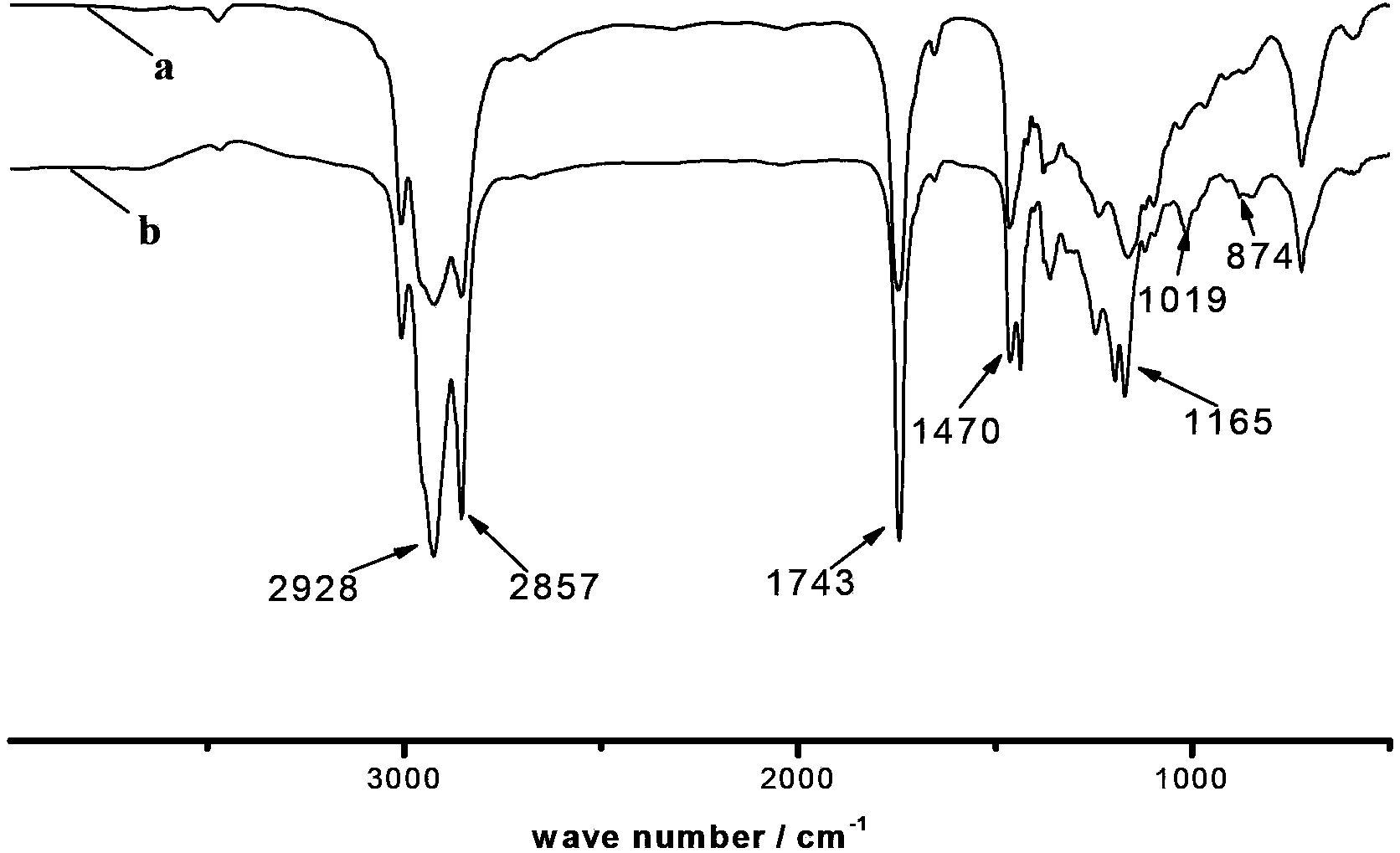 Preparation method of polyethylene glycol (PEG)-modified vegetable oil emulsion mould release agent