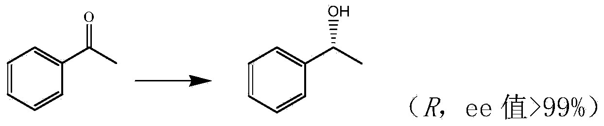 Application of carbonyl reductase ChKRED20 in catalyzing carbonyl substrate