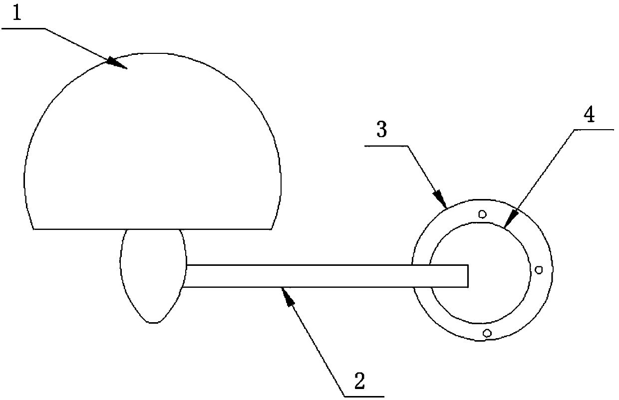 Outdoor wall lamp