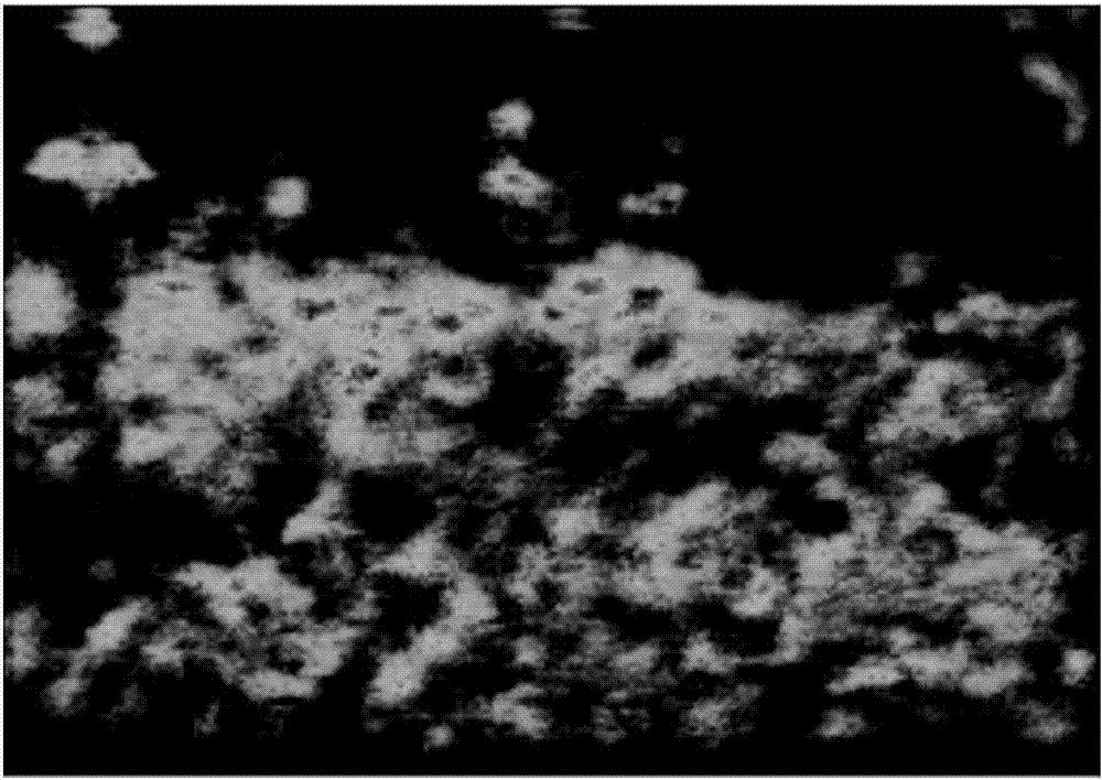 Dense crowd counting and personnel distribution estimating method based on deep learning