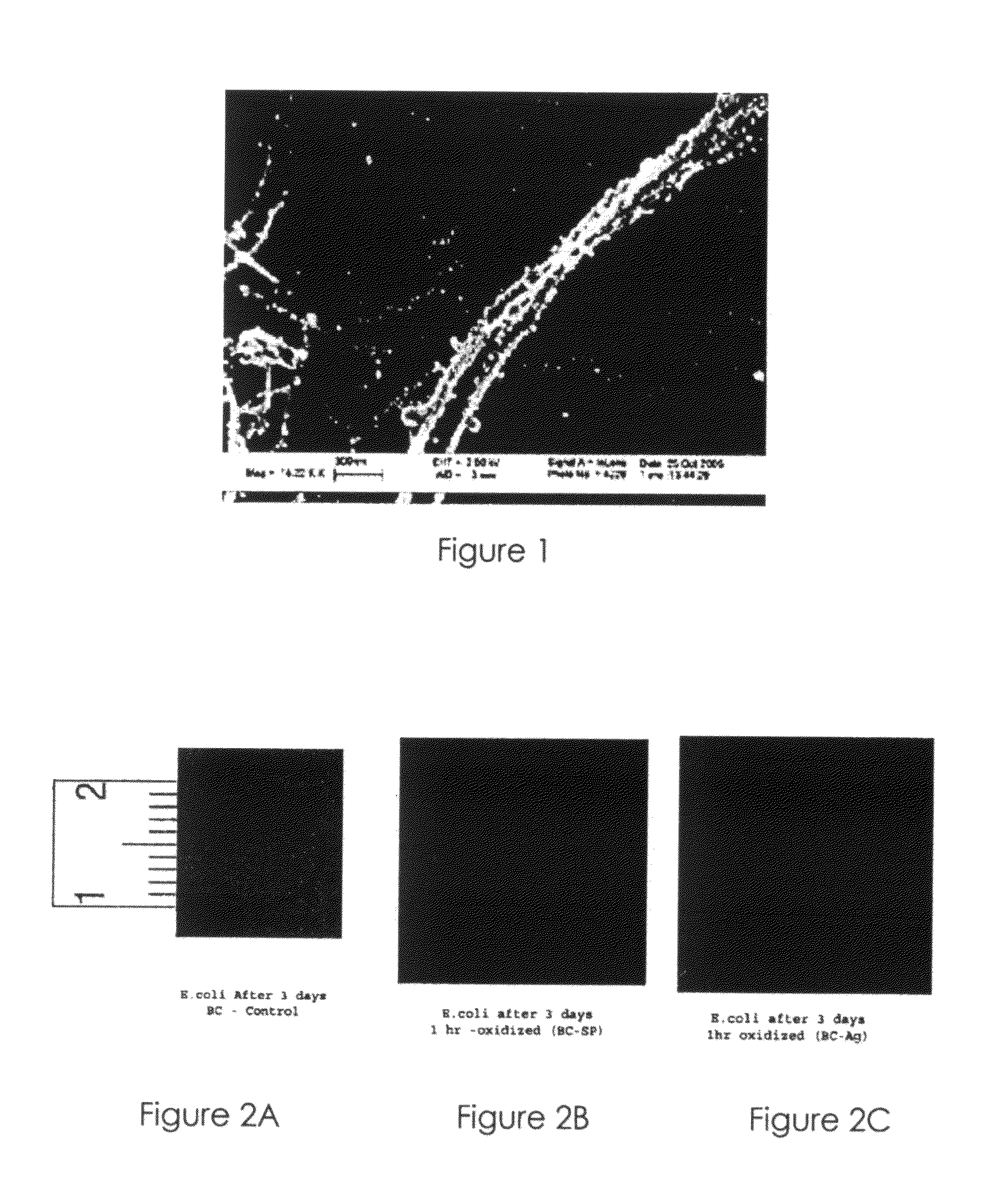 Nanosilver coated bacterial cellulose