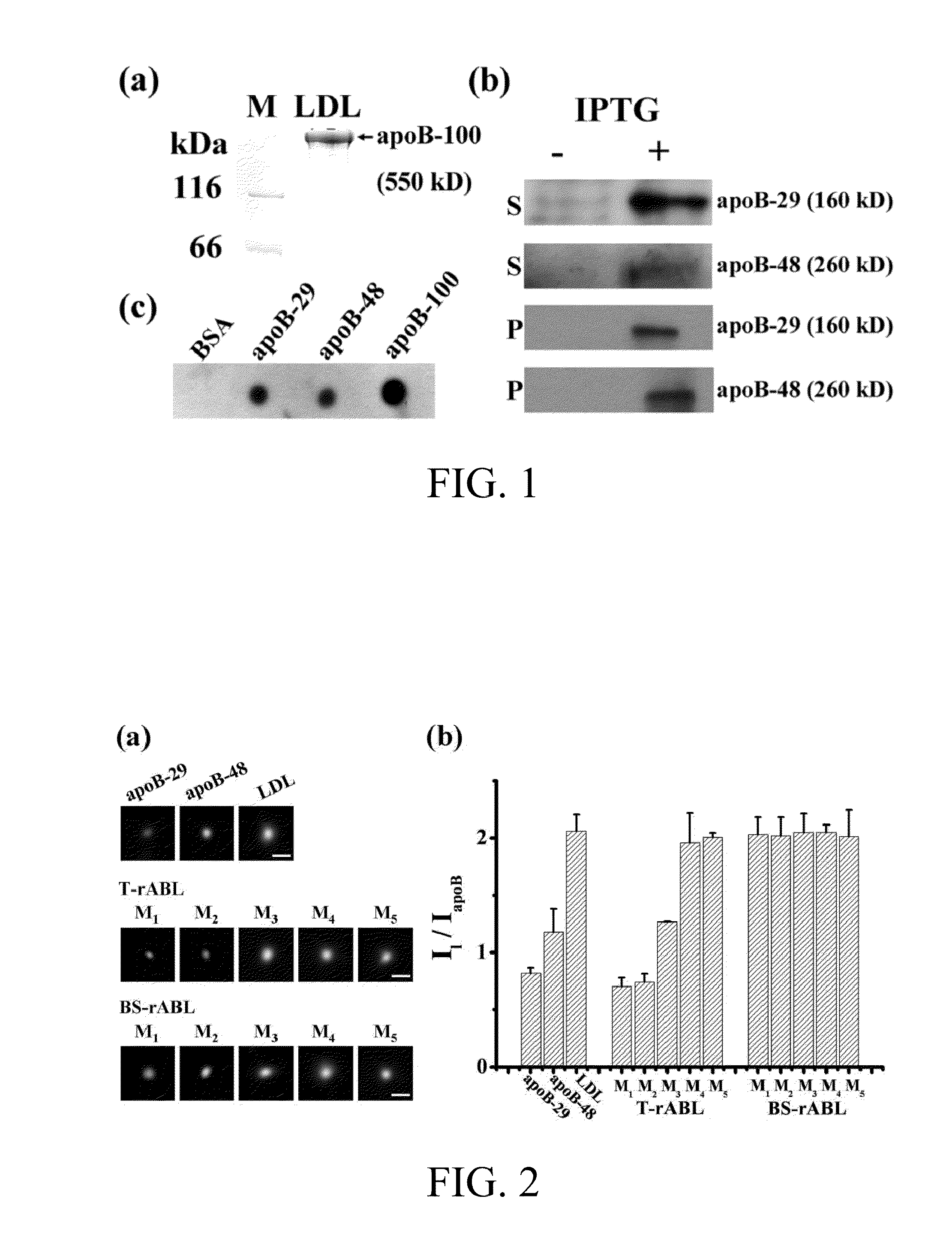 Reconstituted apolipoprotein b lipoparticle, a preparation method and uses thereof