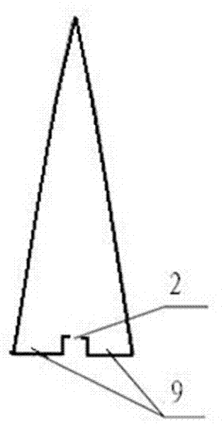 Trichogramma releasing device