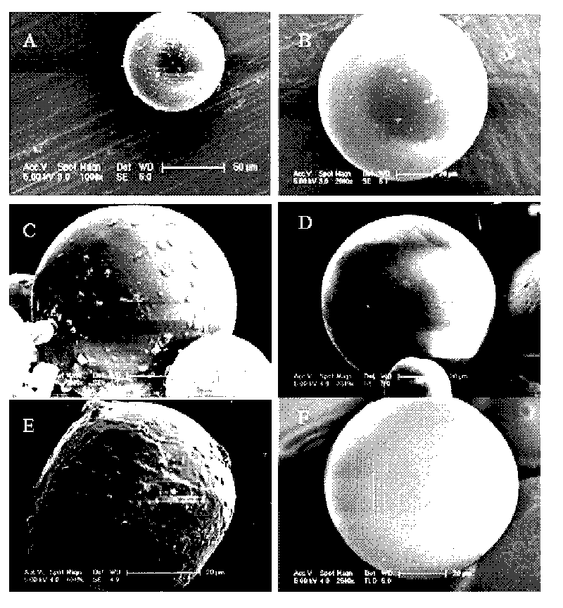 Method for preparing microspheres with solid-in-oil-in-hydrophilic oil-in-ethanol