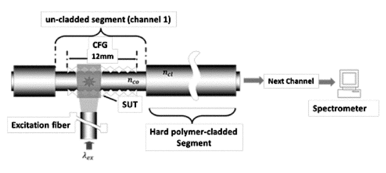 Fiber-optic fluorescence sensor for highly sensitive and specific detection of chemical hazards