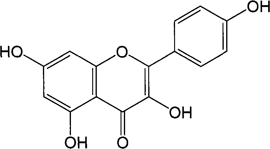 Method for extracting and separating kaempferol from impatiens balsamina