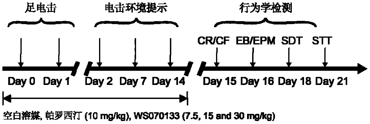 Use of an adenosine compound in the preparation of drugs for preventing and treating stress disorders