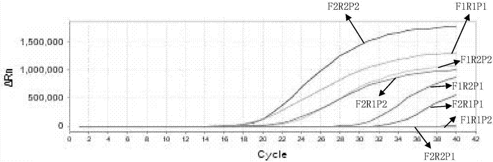 Porcine parvovirus microdroplet number PCR absolute quantitative detection kit