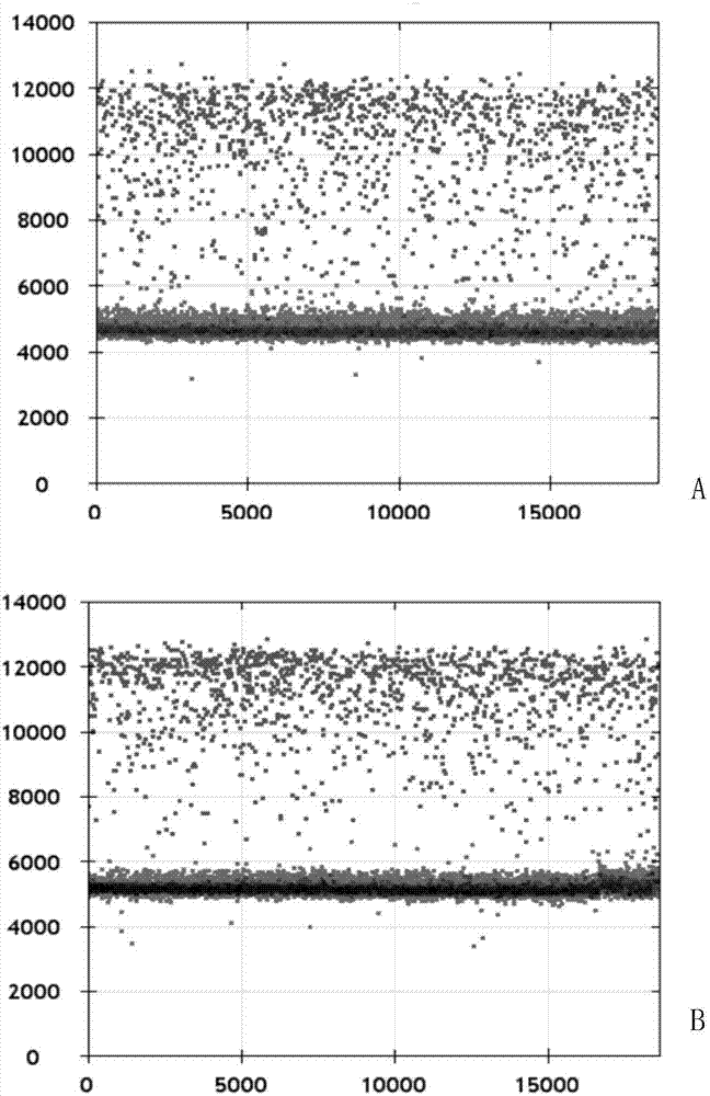 Porcine parvovirus microdroplet number PCR absolute quantitative detection kit