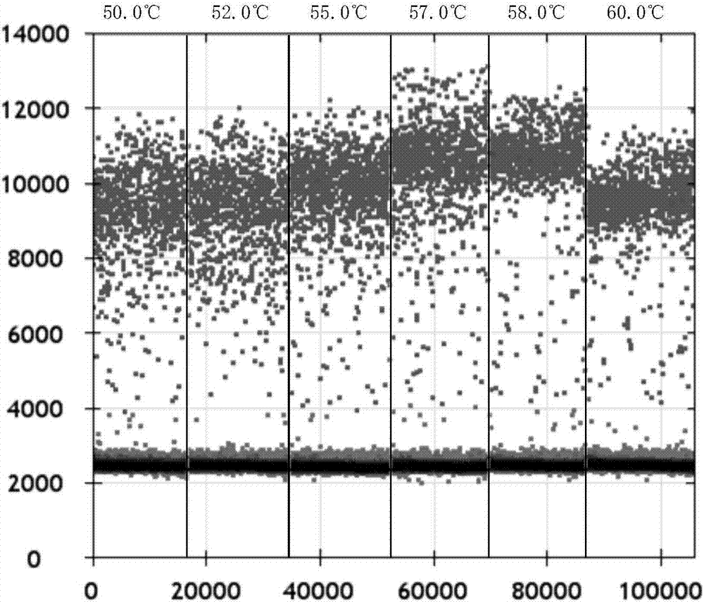 Porcine parvovirus microdroplet number PCR absolute quantitative detection kit