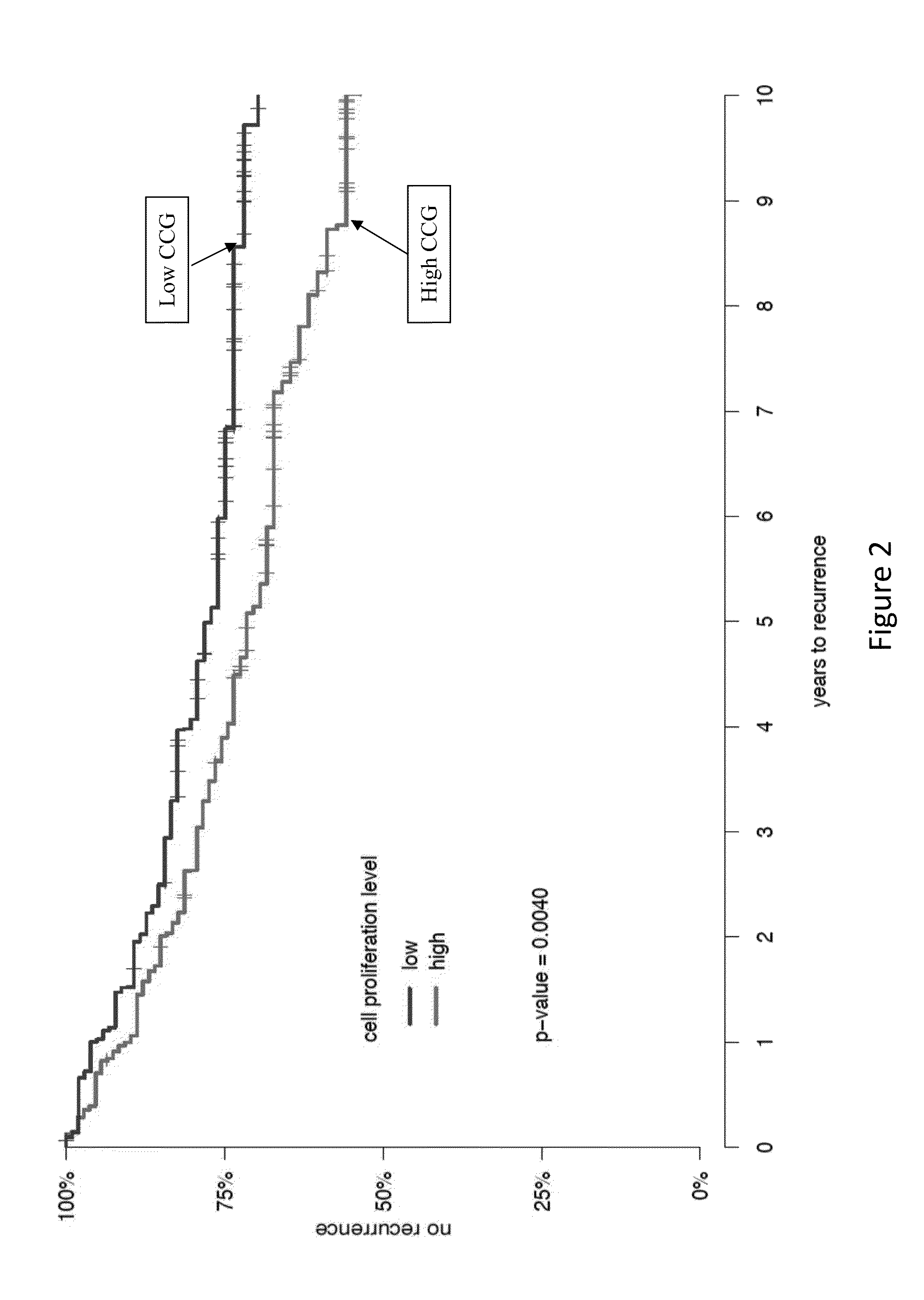 Gene signatures for cancer prognosis