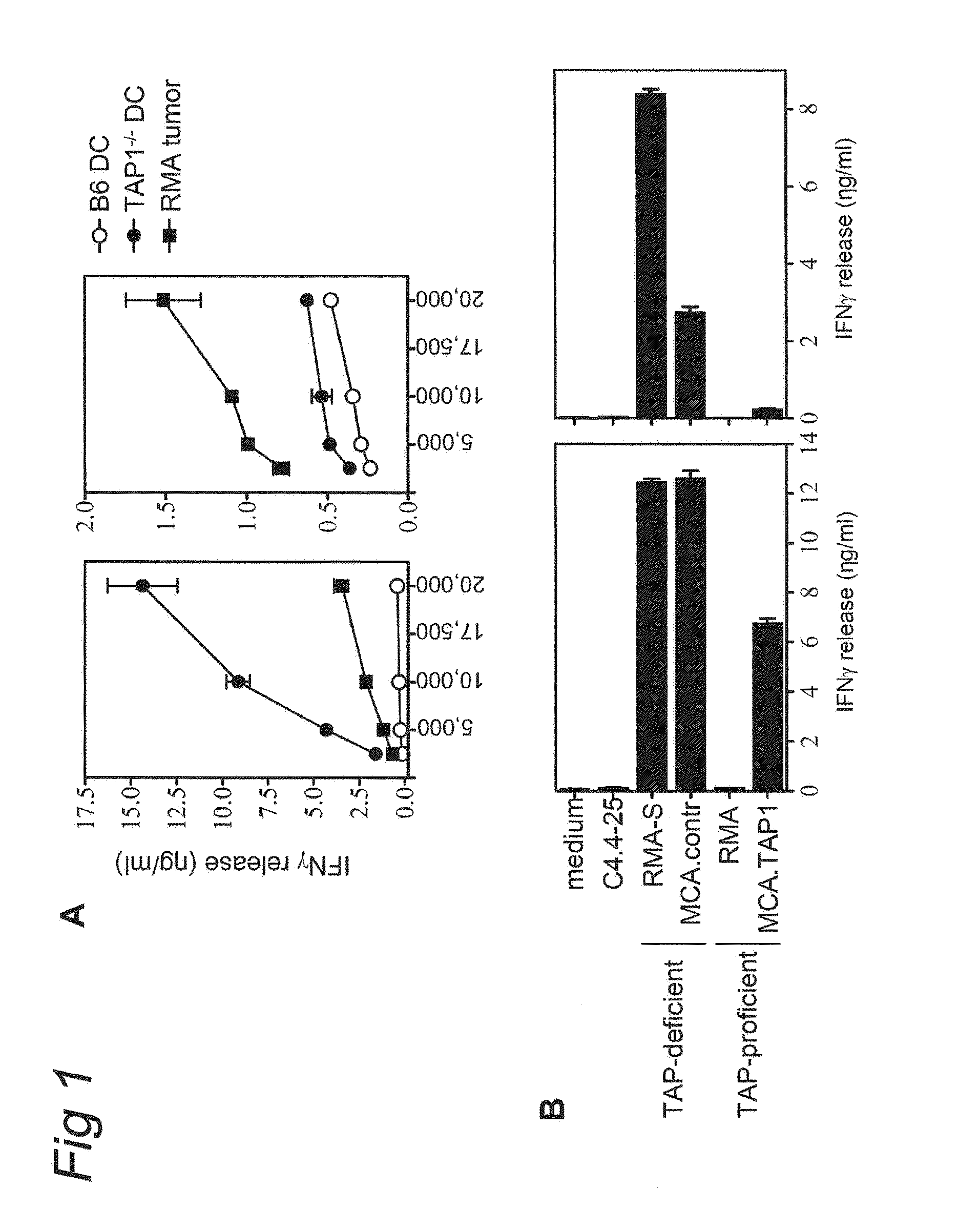 Use of a varicellovirus tap-inhibitor for the induction of tumor-or virus-specific immunity against teipp