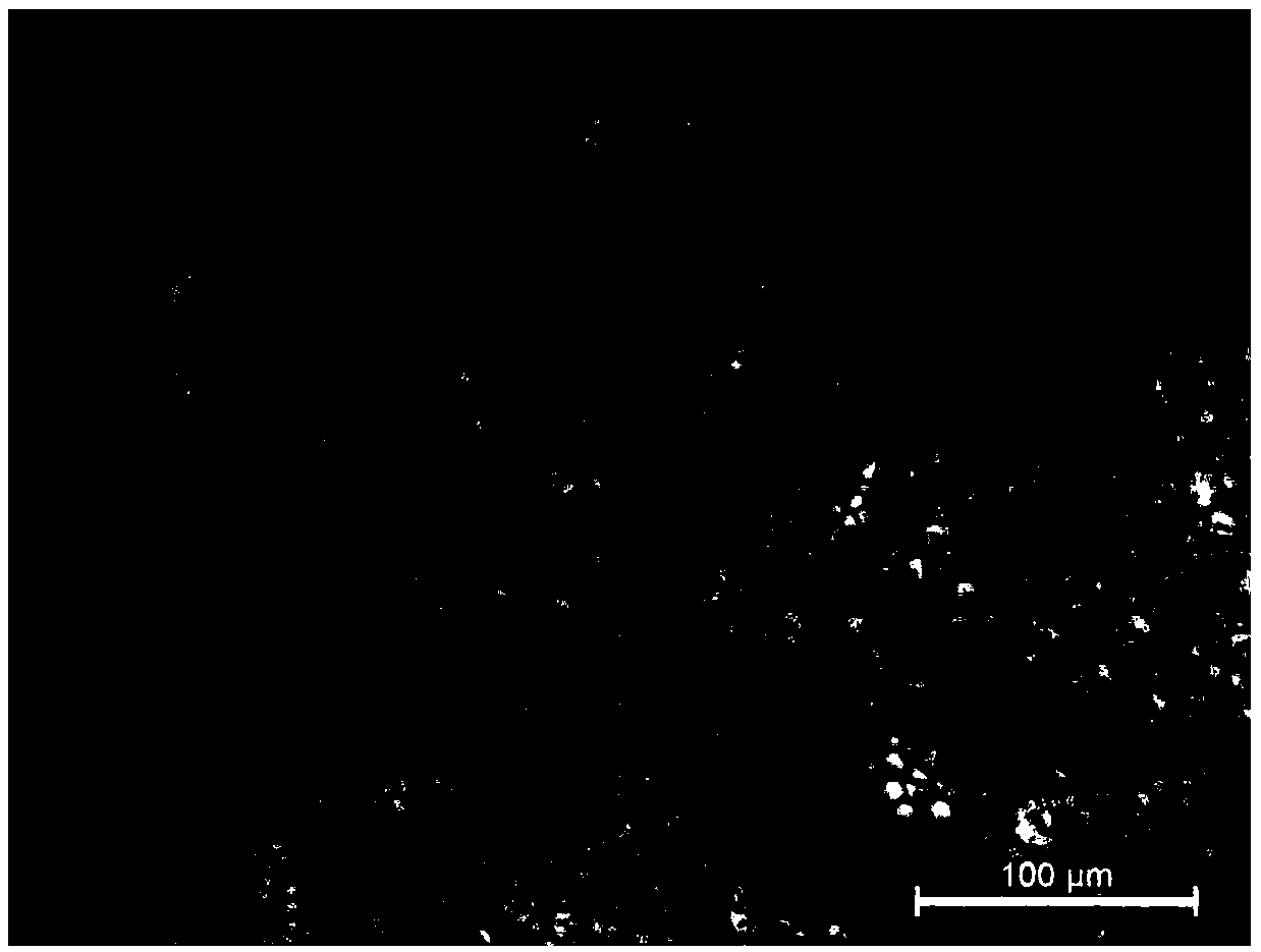 Rough rolling process and method for preparing high-strength high-ductility magnesium alloy sheet