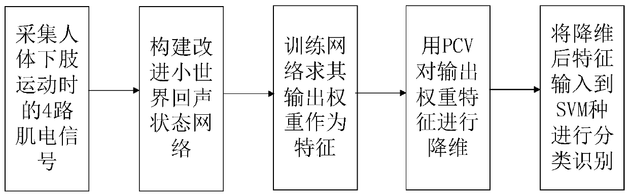 Myoelectricity classification method based on improved small-world echo state network