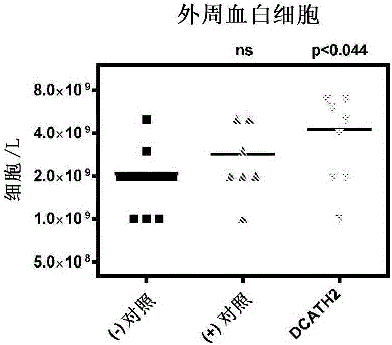 New cath2 derivatives