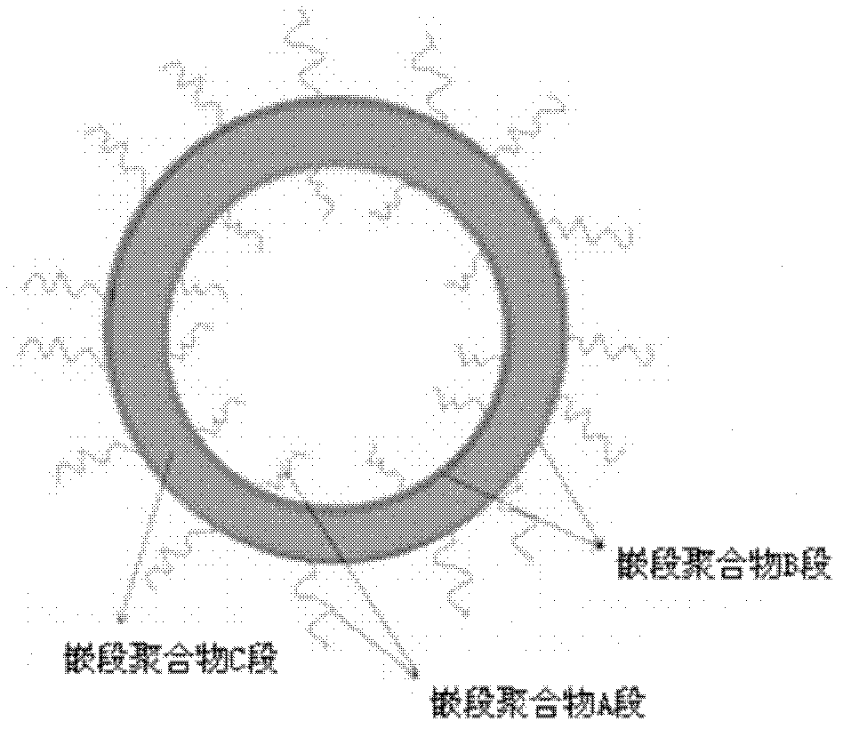 Cross-linked biologically degradable carrier polymer, micelle and vesicle, and preparation method and application of the cross-linked biologically degradable carrier polymer, micelle and vesicle