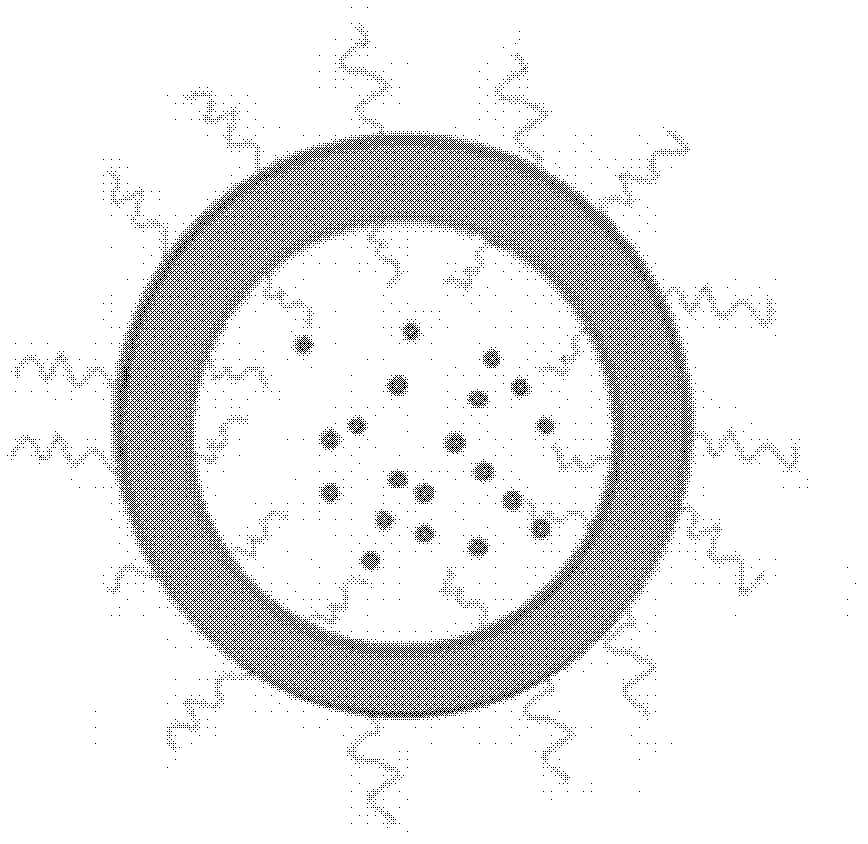 Cross-linked biologically degradable carrier polymer, micelle and vesicle, and preparation method and application of the cross-linked biologically degradable carrier polymer, micelle and vesicle