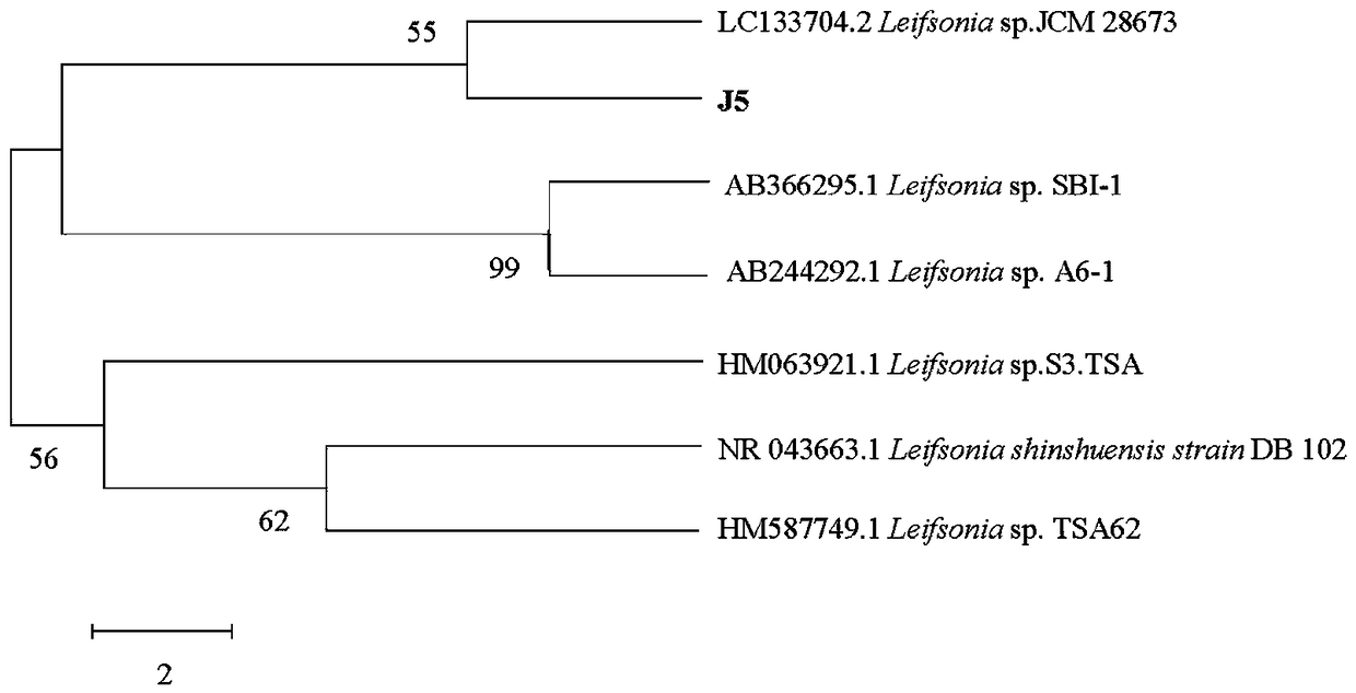 Method for treating/recycling uranium in low-concentration uranium-containing wastewater