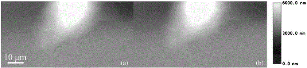 Fast and accurate characterization method for living cell surface morphology atomic force microscope