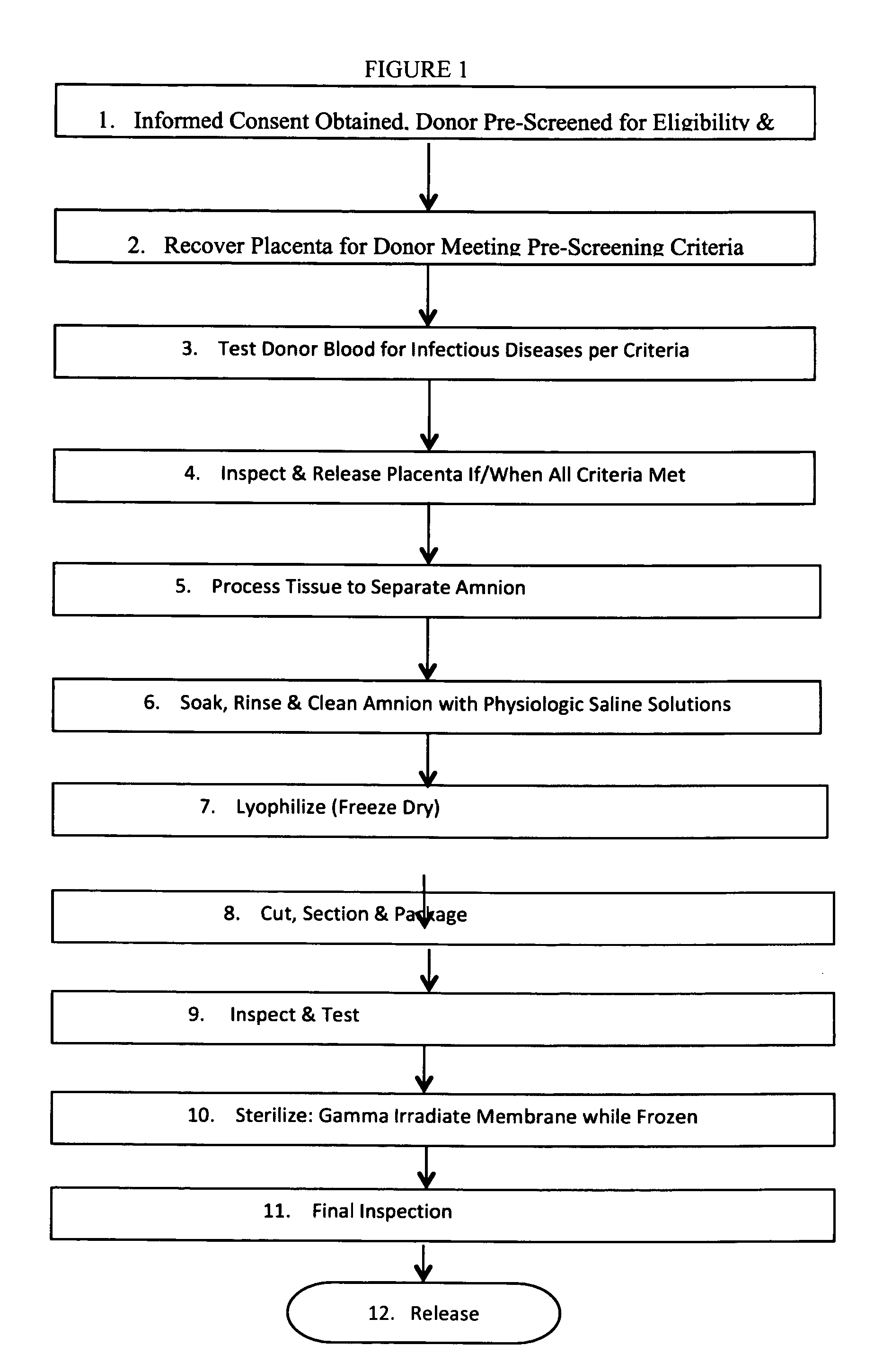 Human Amniotic Membrane Lyophilized Grafts