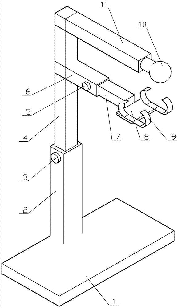 Device and method for determining midline equation of fish in motion