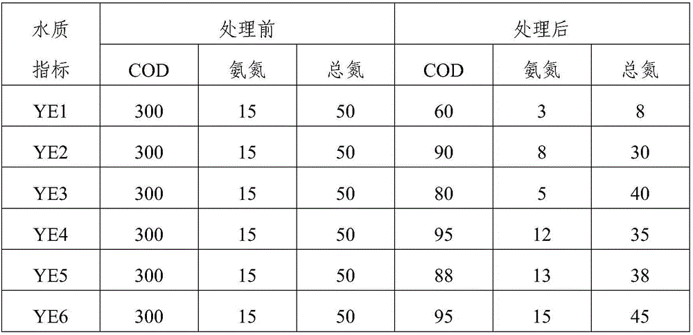 Paenibacillus and its application in water body purification