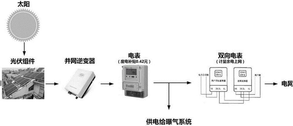 Paenibacillus and its application in water body purification